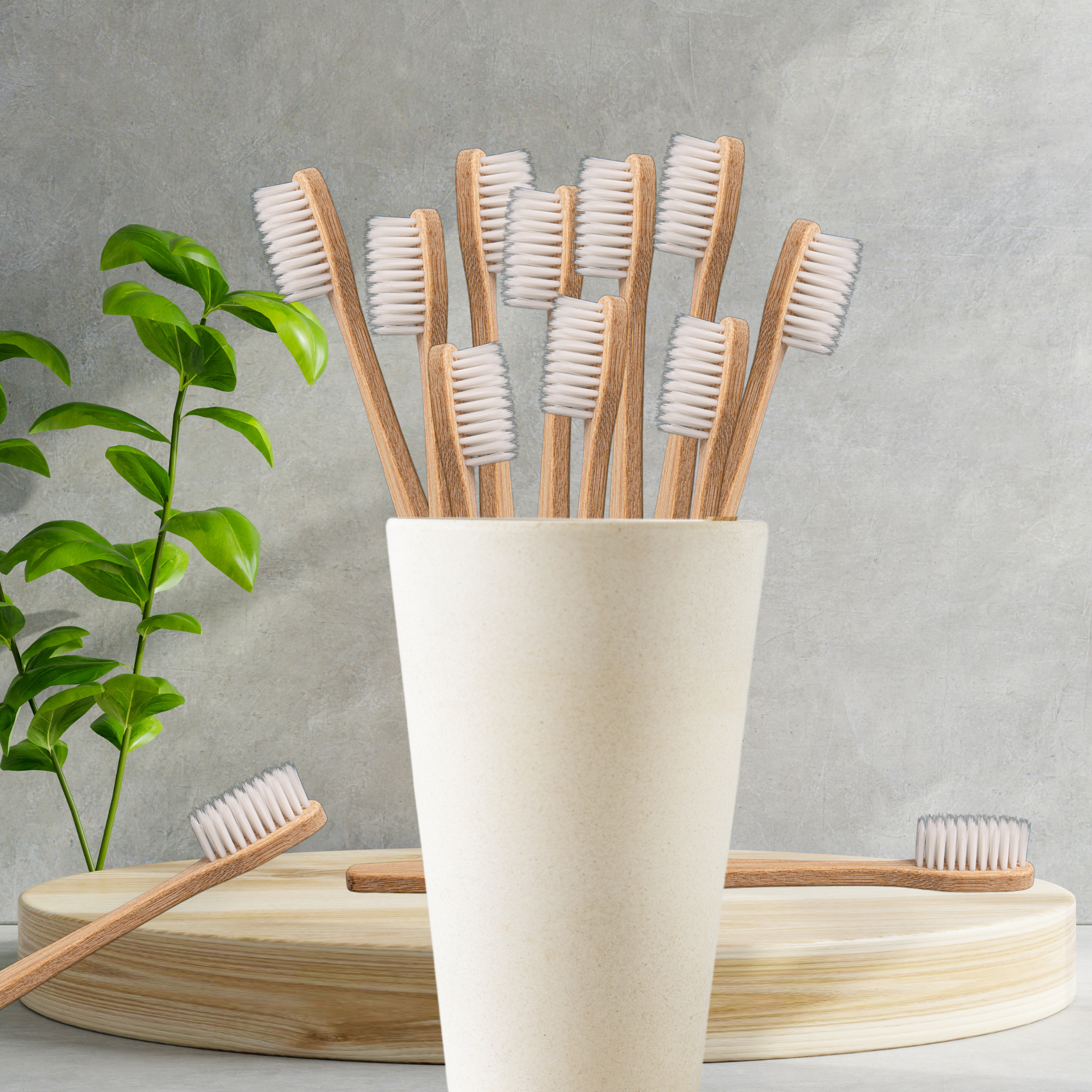 Bamboo Toothbrush Bundles by Hippotanicals