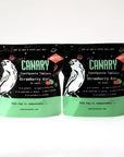 Strawberry + Kiwi Toothpaste Tablets by Canary