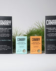 Concentrated Foaming Hand Soap Bundle by Canary