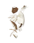Mekabu Hydrating Shampoo