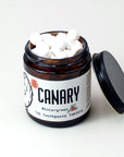 Wintergreen Toothpaste Tablets by Canary