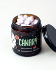 Watermelon Toothpaste Tablets by Canary
