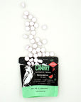 Watermelon Toothpaste Tablets by Canary