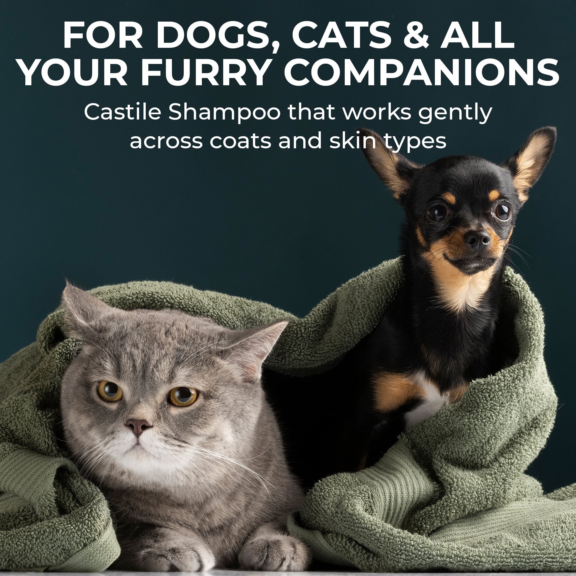 Castile Pet Shampoo Green Tea &amp; Mint