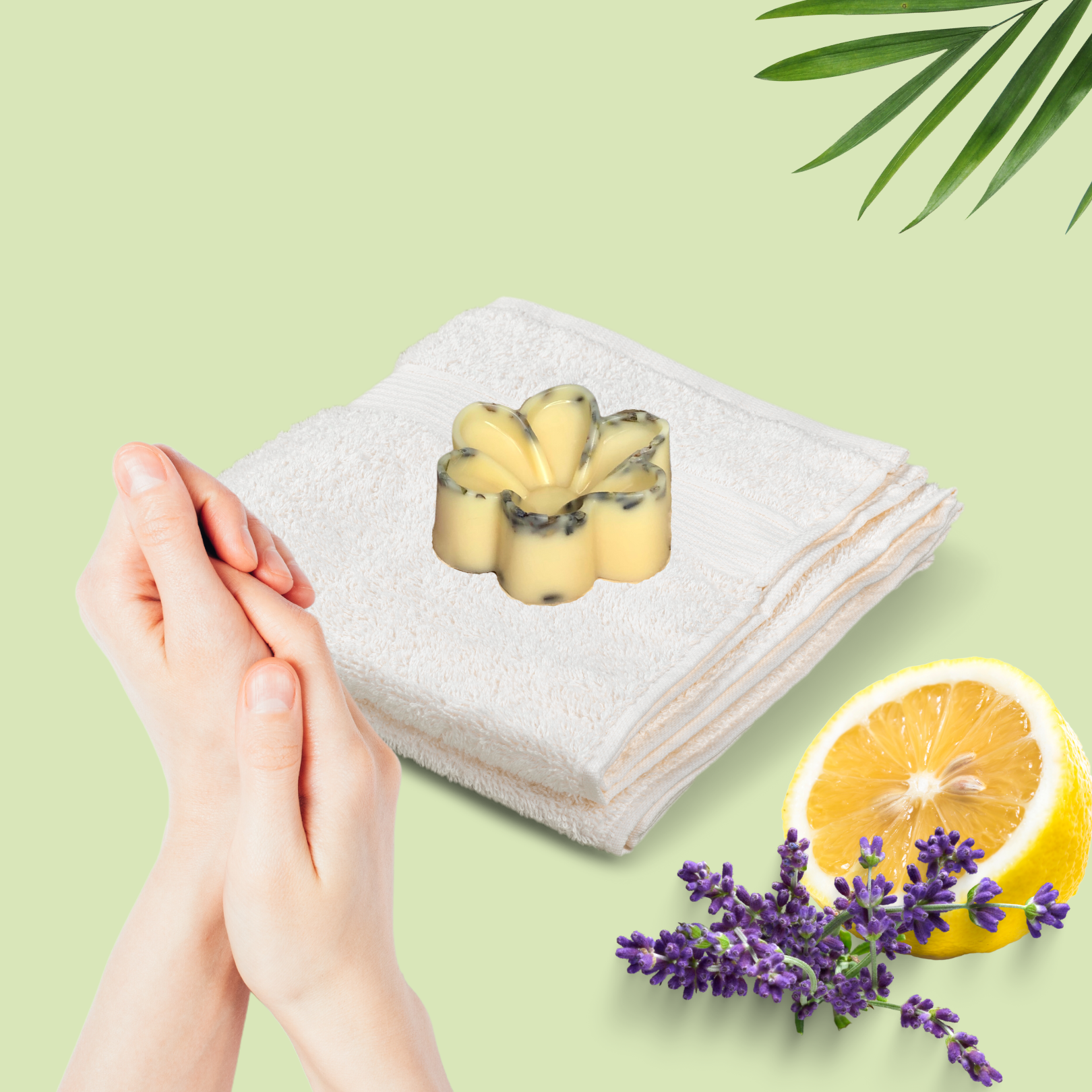 Flower Shaped Lotion Bar by Hippotanicals